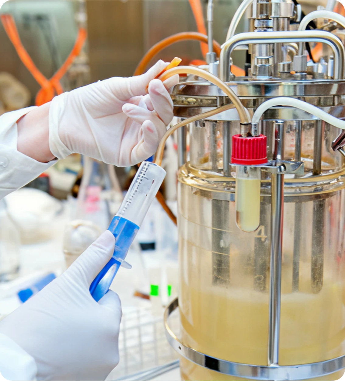 Bioprocess — Optimisation des bioprocédés